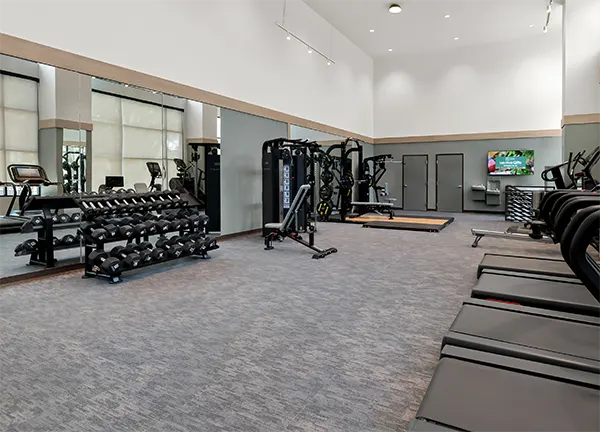 The perfect spot to chill alone or with classmates