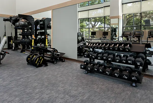 The perfect spot to chill alone or with classmates